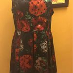 Studio One Like New Floral Dress Polka Dot Mesh Overlay Sweetheart Neckline Size 14P Photo 0