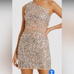 Mac Duggal NWOT |  Nude and Silver hand beaded dress Photo 4