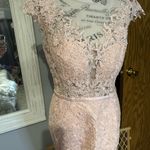 Hebeos Elegant Lace Pink Evening Gown Photo 1