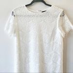 Lulus White Lace Short Sleeve Sheath Dress Size Small Party Dance Homecoming S Photo 4