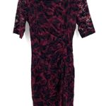 Anthropologie  Maeve Elorn Wine Fitted Ruched Waist Lace Sheath Maroon Dress Photo 1