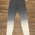 Lysse Ombré Work Out leggings Photo 0