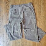 American Eagle  Outfitters Cargo Pants Size 14L Photo 4
