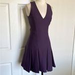 Elizabeth and James Plum Christine Mini Dress Photo 2