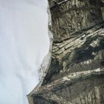 Mossy Oak  Women's Forest Camo Cut Off Tank Top With Graphic Size Large Photo 3