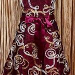 Jessica McClintock  Lace & Tulle Dress Sz 8 Photo 0