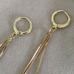 Gold Filled Huggie Hoop Earrings Dangle Owl Charms Photo 2