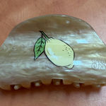 Frasier Sterling  Lemon Design Hair Claw Clip Photo 0