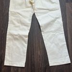 Twill Pleated Pant in Linen Photo 3