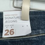 Lane Bryant  Pull On Distressed Jeggings Dark Wash Plus Size 26 Petite Photo 6