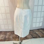 Talbots White Textured Fully Lined Cotton Blended Pencil Fit Skirt Size 10 Photo 4
