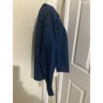 Pilcro  Chambray Quarter Button Long Sleeve Chambray Blouse XS Photo 1