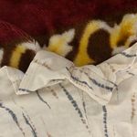 Dry Goods Shorts Photo 3