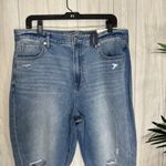 American Eagle NWT Plus Size Ripped Cool Classic Mom Jeans Crop Ankle 16 Short Photo 3