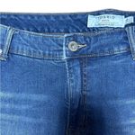 Torrid High Waist Stretch Denim Distressed Jeans Silver Details on Sides Size 26 Photo 6