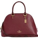 Coach NWT  Katy Satchel Gold Cherry Photo 0