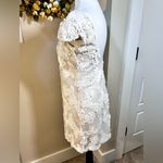 Dress the Population   Brooke White 
Sequin Cap Sleeve Cocktail  Minidress Sz XS Photo 7