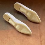 A New Day  Pointed Toe Ballet Flats Photo 1