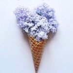 Fifteen Twenty Blouse S Silk Open Back Scoop V-neck Flowy Bubbled Sleeves Pink Photo 4