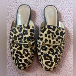 Franco Sarto Leopard Print Women's Loafers leather calf hair mules Photo 0