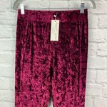 Emma & Sam NWT LF  Crushed Velvet Sweatpants XS Photo 3