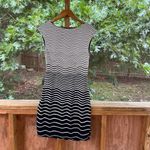 Ann Taylor LOFT Women's Black And White Striped Ombre Side Ruched Bodycon Dress Size S. NEW Photo 1