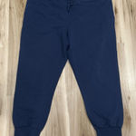 Patagonia Navy Blue Joggers Women’s 2XL XXL Photo 0