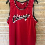 Mitchell & Ness Chicago Bulls  jersey  Photo 0