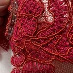 Tadashi Shoji  Flame Queen‎ Anne Neckline Open Back Corded Lace Tulle Dress Red 6 Photo 7