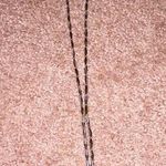 Charming Charlie  necklace Photo 0