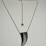 Stella & Dot  Blue Stone Horn Shape Pendant Gold Tone Chain Necklace Photo 0