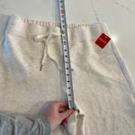 Spanx NWT  Air Essentials Cropped Wide Leg Pants Cream Size 1X Photo 9