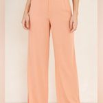 The Jetset Diaries NEW  Katherine pants in nude Photo 0