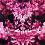 Michael Kors Pink Patterned T-shirt Dress  Photo 4