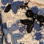 Lucy Paris Lace Crop Top Photo 4