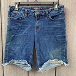 Max jeans ‎ Cut-Off Denim Shorts Photo 7