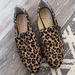 Sole Society  leopard print‎ loafers Photo 0