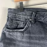 Free People  Gray Loving Good Vibrations Denim Shorts Photo 3