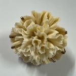 ZARA  Resin Flower Faux Coral Flower Chunky Gold Ring Size 6 Zinc Brass Photo 3