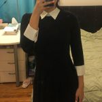 Adrienne Vittadini Black and White Collared Dress Photo 1