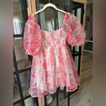 Francesca’s Claudia Floral Organza Babydoll Dress mini puff sleeve selkie pastel Red Size XS Photo 2