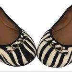 Diane Von Furstenberg  'Bion' Calf Hair Ballerina Flat Size 7 Photo 7