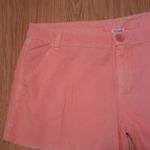 Splendid NWT Vintage Sunset Orange Shorts Size Large 17” Waist Photo 3