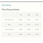 Anthropologie  Alexandra Farmer Printed Maxi Dress Photo 10