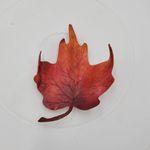 Vintage K & T Tovey Maple Tree Leaf Brooch/Pin Red Orange Autumn Fall Fashion Photo 14