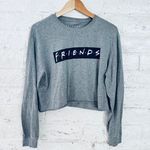 Friends Crop Top Shirt Womens Gray Long Sleeve Sitcom TV Show size L Size L Photo 1