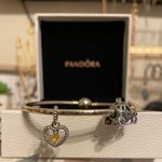 Pandora Charm Bracelet Photo 0