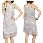 Shimmery Silver Flapper 20's Vibe Costume Photo 2