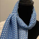 Blue Polka Dot Scarf Photo 1