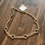 Ettika Crystal Destiny Belt in Gold Photo 1